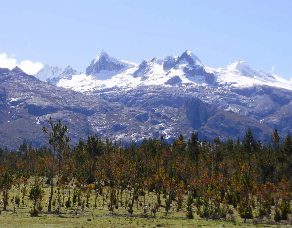 Andes Camping Expeditions P1310044-960x750 Montañismo   