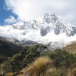 Andes Camping Expeditions Cedros-Alpamayo-Santa-Cruz   Andes Camping Expeditions scheduling   Andes Camping Expeditions difficulty   Andes Camping Expeditions route   Andes Camping Expeditions peak   Andes Camping Expeditions weather   Andes Camping Expeditions Llanganuco-Santa-Cruz-trekking-53-150x150   Andes Camping Expeditions Llanganuco-Santa-Cruz-trekking-48-150x150   Andes Camping Expeditions Llanganuco-Santa-Cruz-trekking-42-150x150   Andes Camping Expeditions Llanganuco-Santa-Cruz-trekking-36-150x150   Andes Camping Expeditions Llanganuco-Santa-Cruz-trekking-23-150x150   Andes Camping Expeditions Llanganuco-Santa-Cruz-trekking-25-150x150   Andes Camping Expeditions Llanganuco-Santa-Cruz-trekking-15-150x150   Andes Camping Expeditions Llanganuco-Santa-Cruz-trekking-14-150x150   Andes Camping Expeditions Llanganuco-Santa-Cruz-trekking-16-150x150   Andes Camping Expeditions alpamayo-mountain-14-150x150   Andes Camping Expeditions alpamayo-mountain-expeditions-1-150x150   Andes Camping Expeditions Cedros-Alpamayo-Santa-Cruz-150x150   