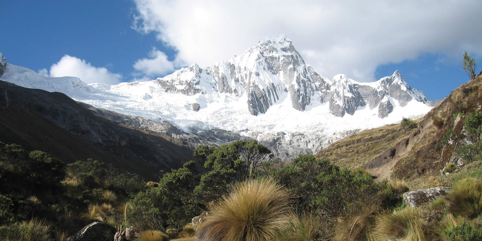 Andes Camping Expeditions Cedros-Alpamayo-Santa-Cruz   